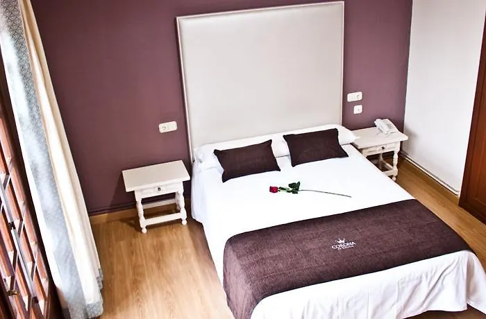 호텔 De Galicia 발가